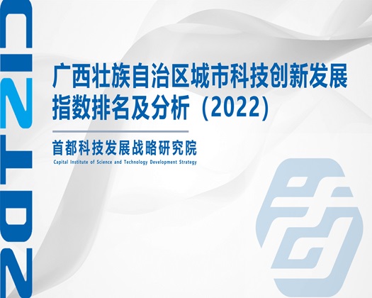 骚逼要插免费视频【成果发布】广西壮族自治区城市科技创新发展指数排名及分析（2022）